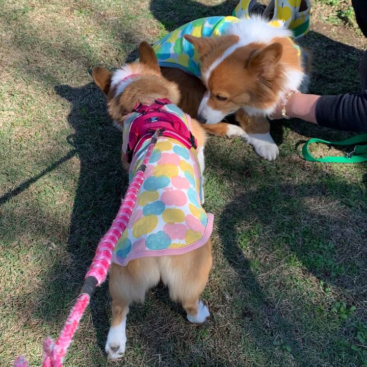 12ac62cb 91a3 43ec b6a6 004da9c2580f 1603749926580