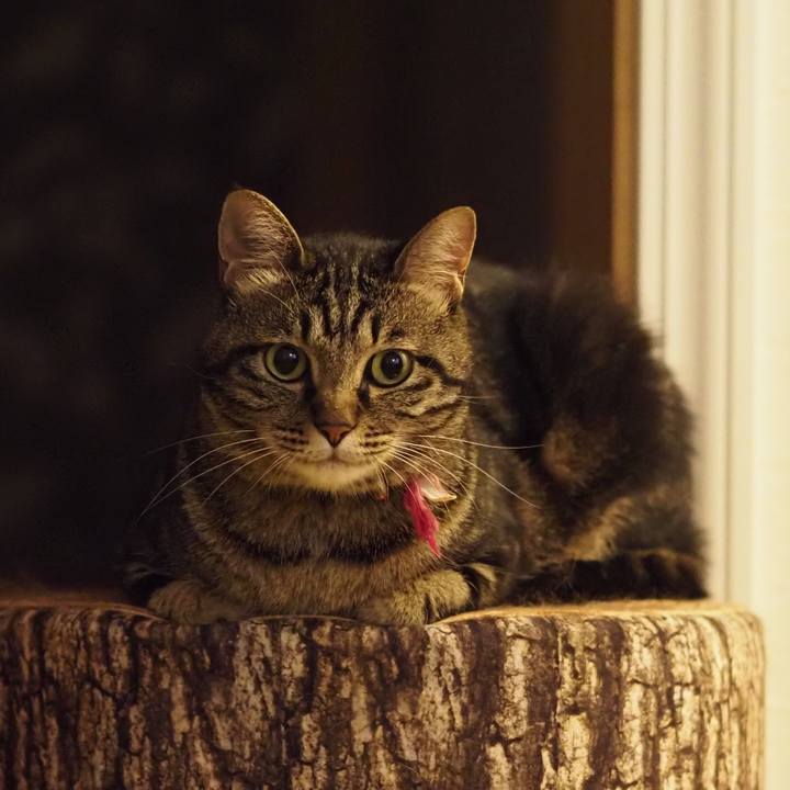 12ac650a 78bb 499c ab05 205bf1fdbeb1 1629457221771