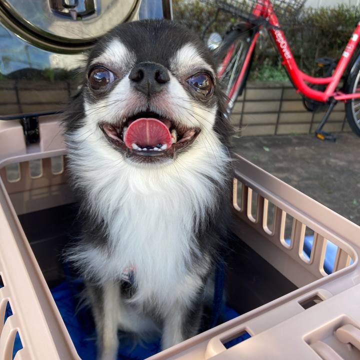 12ac76a6 384e 4974 a92a 039fad9b748d 1658881423139