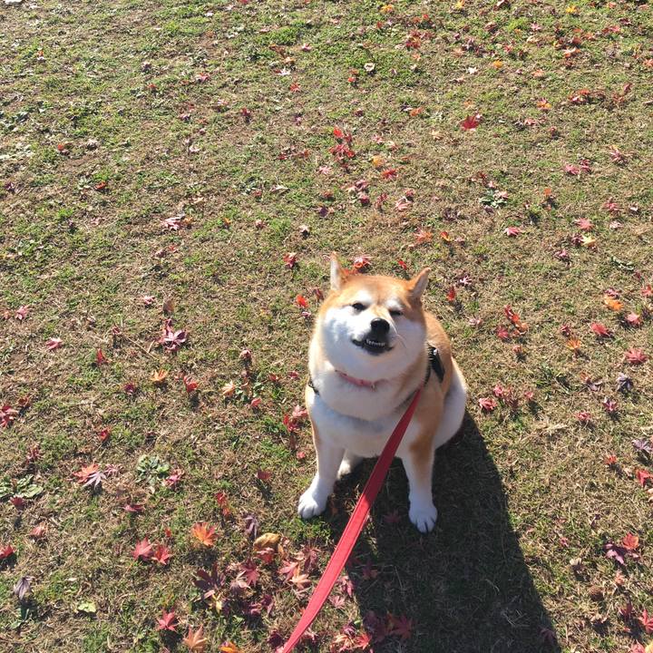 12ac99db ade1 4ec5 8d2b 0abe860d714c 1607910953777