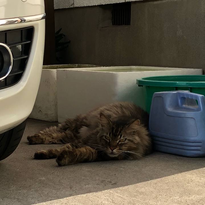 12ac9ee2 8246 4699 92f7 ee9577832cb1 1528549898554