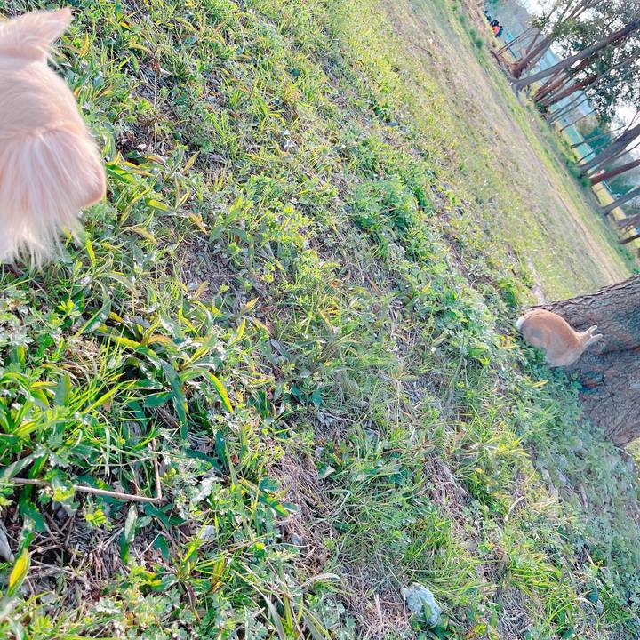 12acaaea 98ac 4822 a869 f7ee352fbef9 1648015128619