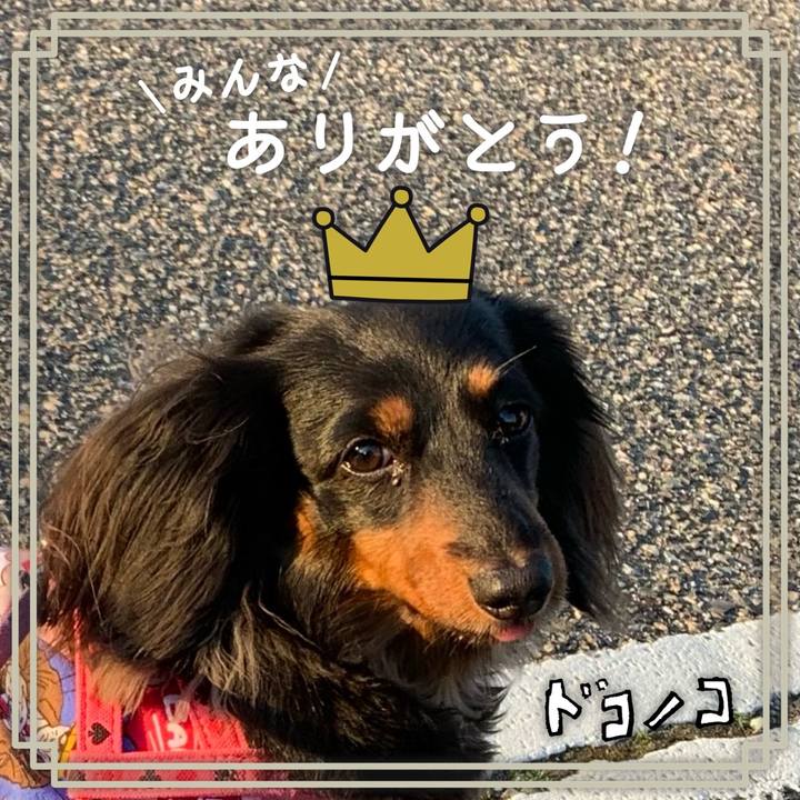 12acb2ec 7abf 49a3 a153 f2b4288ad186 1623072487228