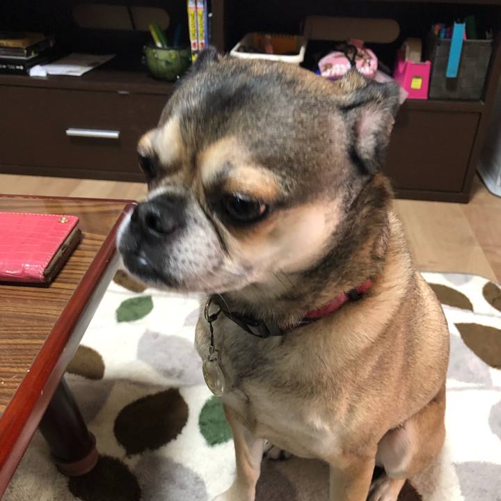 12acf221 21c1 4817 8117 b432d7dce755 1524389087084