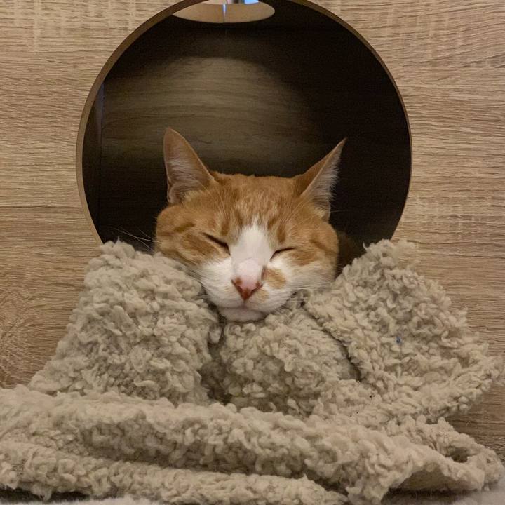 12ad2885 7b4d 47dd 8128 fa333d8fb834 1635427609207