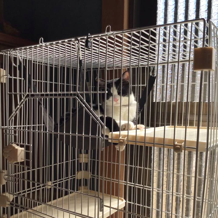 12ad38c4 4e74 45f2 bd41 2910960b53e1 1645156310128