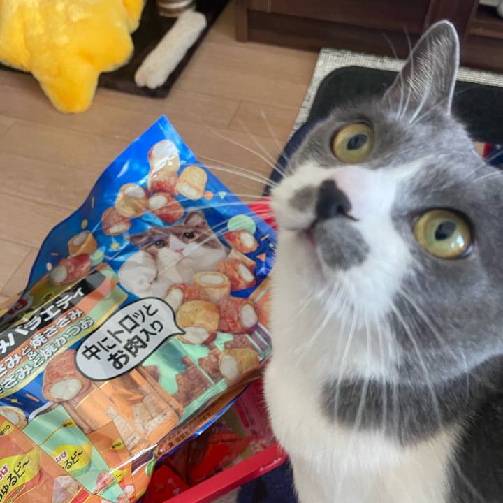 12ad68c7 afef 44cb a2c3 d01d5617c720 1679197708375