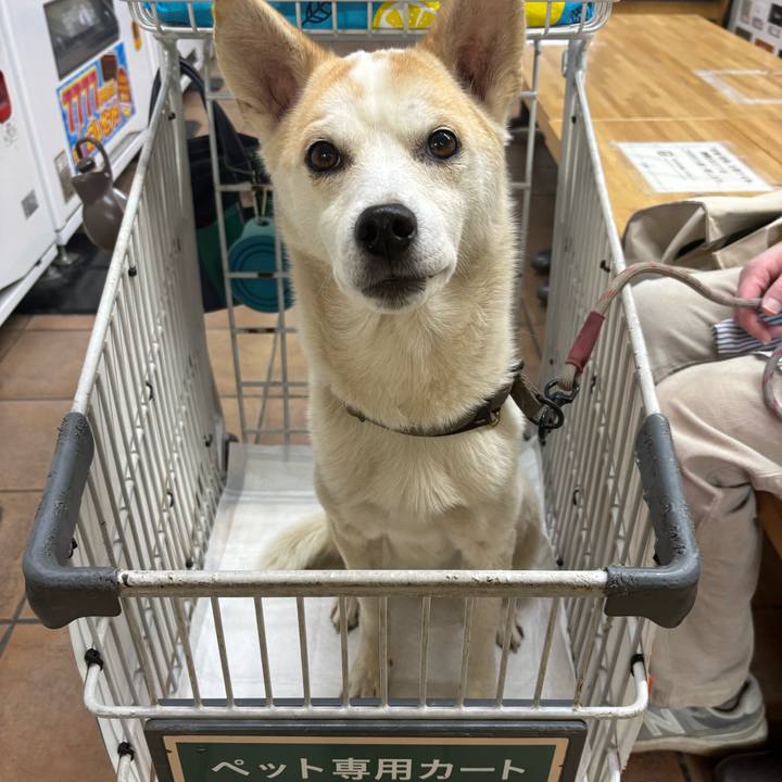 12ad8f64 6f0f 4ab0 9d9a eba67f882322 1734846010008