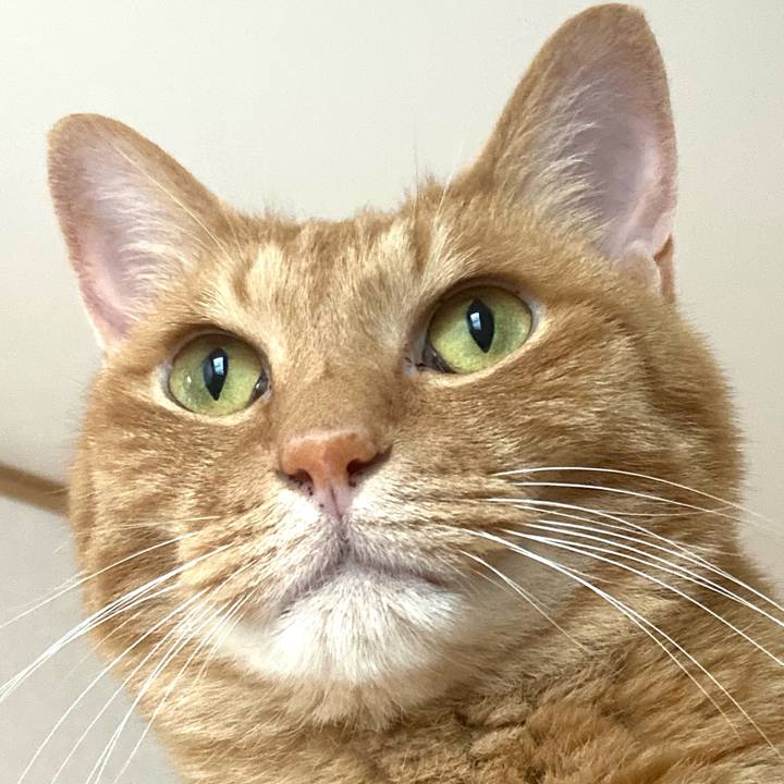 12ad9cd3 b958 4405 8952 249ec0441628 1757723058201