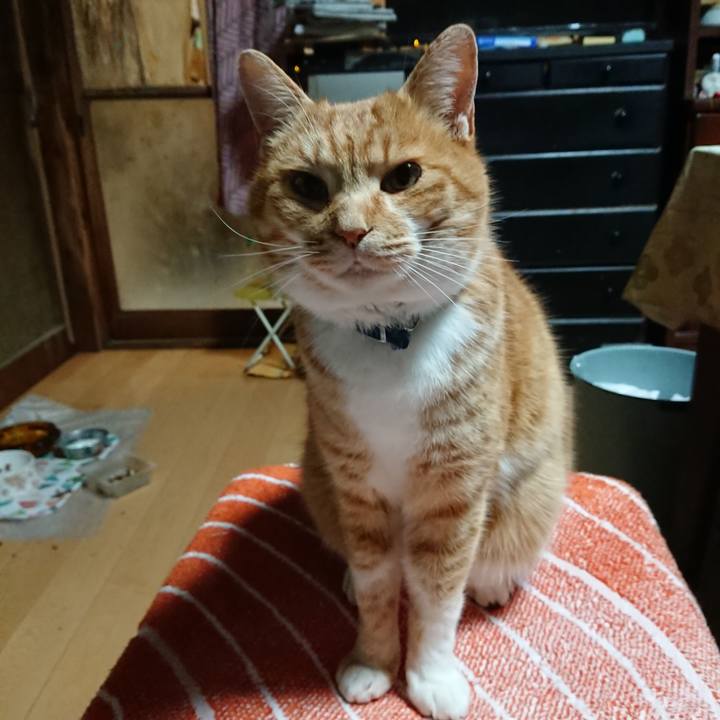 12adc519 d248 415b aabc 6631c77c182b 1608496476623