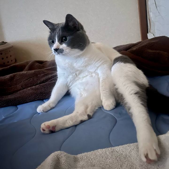 12adcc94 f48b 4eb4 8a91 1e696e77be59 1686607777576