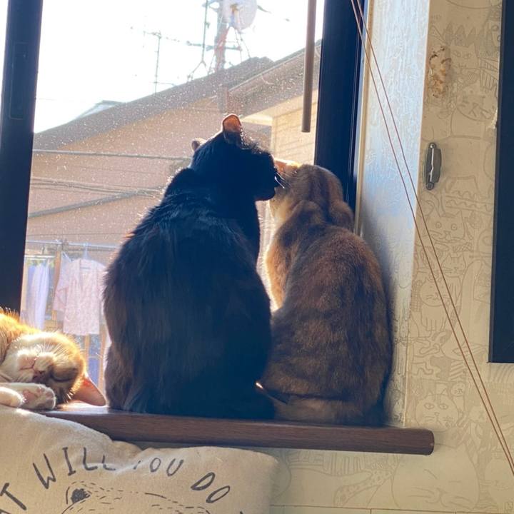 12adf360 ce46 4cf8 86bc 9114d0615c69 1608775310582