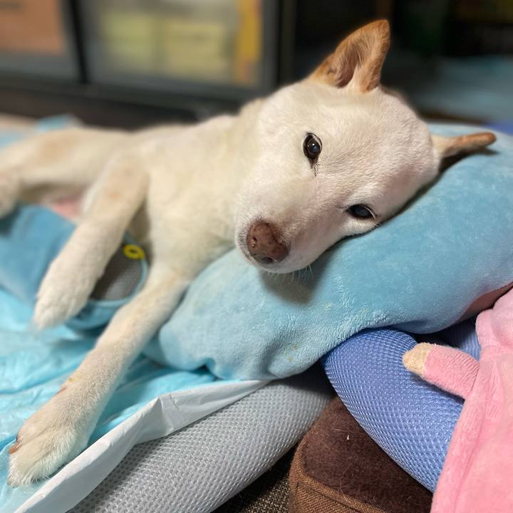 12ae08cd b9b6 43d3 a35d d25d787bcda0 1652356535237