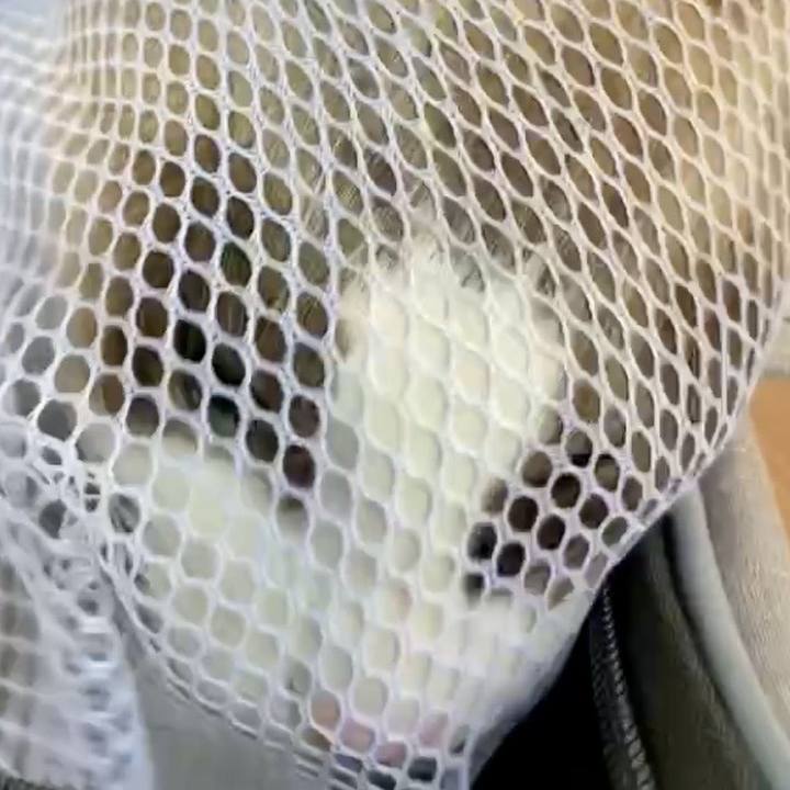 12ae0be5 f9c8 42f7 b2d8 e83aea2916b7 1734635572790