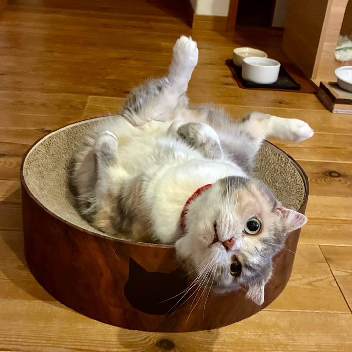 12ae619f 7d17 4f38 bf89 82eef65ae78c 1758753731429