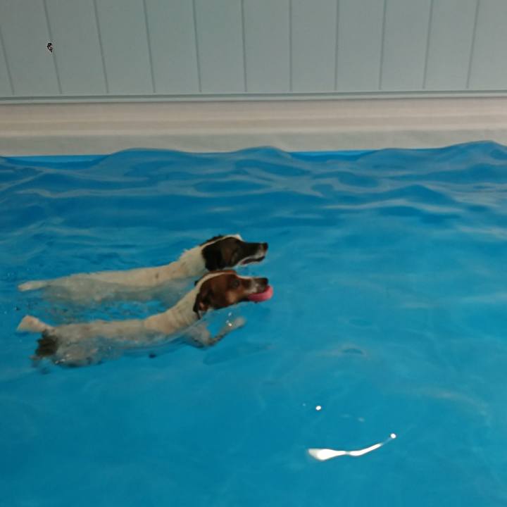 12ae7560 ef86 4d89 bc24 c31a2faf8525 1596871127624