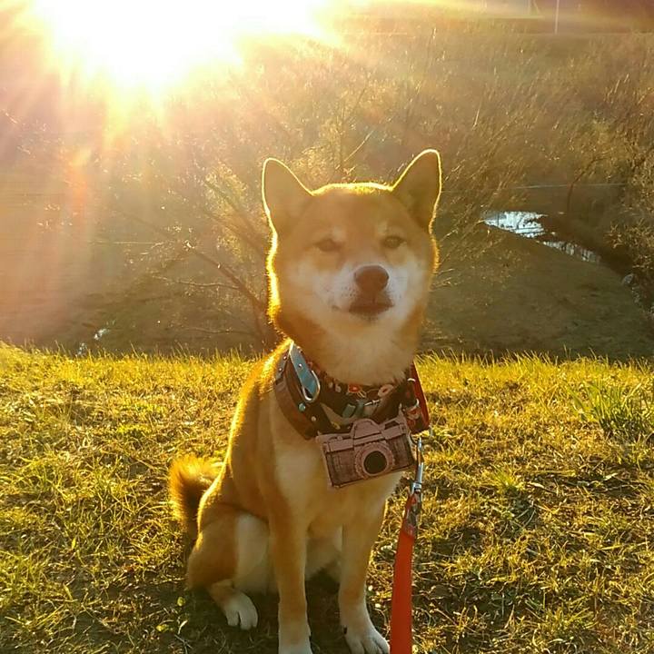 12aec777 2177 4ee4 abf3 3a1ca0e8d492 1546242459108