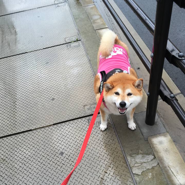 12aec918 04cf 4a8e befd 0da00c626600 1595047163623