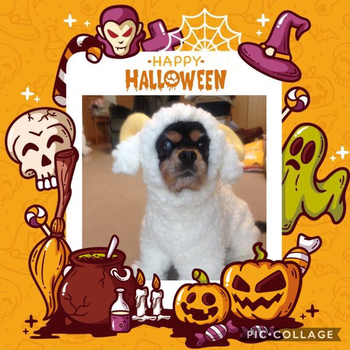 12af1ecb 151c 4185 bf70 d17332e78198 1572077951088