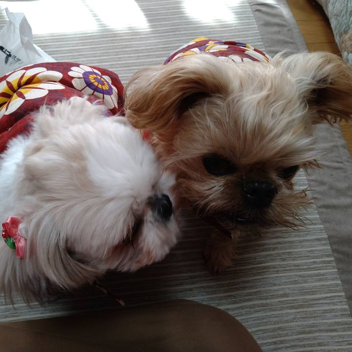 12af202e f226 41be 9828 940366bd652e 1608377491940