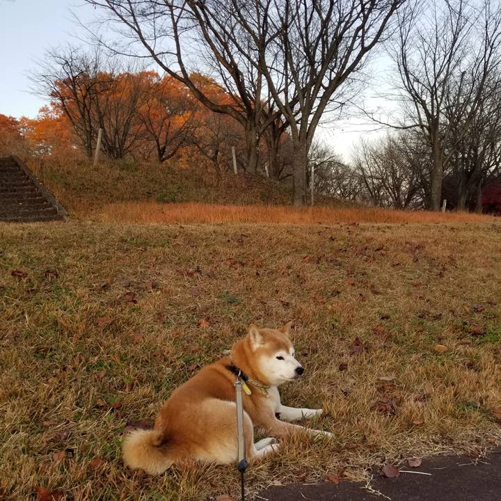 12af3198 b624 4c8e a8f6 1ec87b359c86 1668237047114