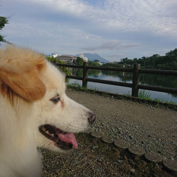 12af7982 cb6e 49e4 92f3 c0f62cb4966b 1530479769081