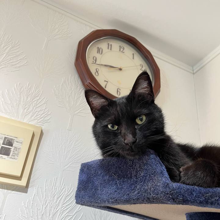 12af9d21 0ad3 4724 8f30 b8bf8c60a3b2 1680150152629