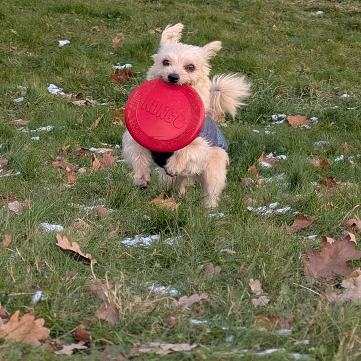 12af9d36 6d74 4dbd 8104 eb756d46a423 1767280623530