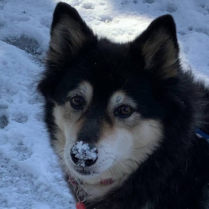 12afc620 045e 446b 9d78 2eee56238e13 1641735523386