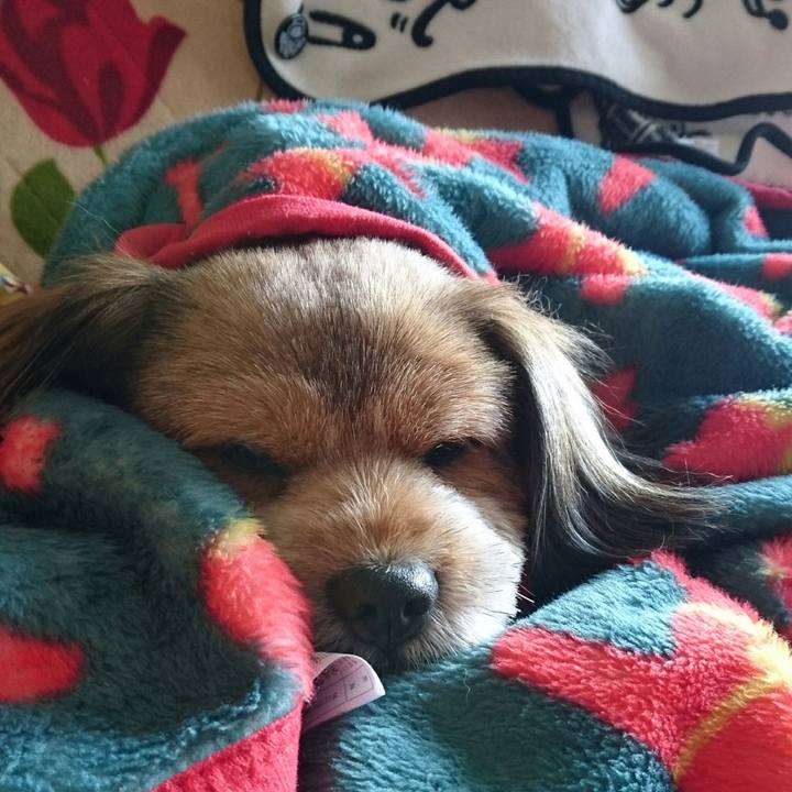 12afca8b 17f7 45e7 8cb0 826486ff6434 1540613013045