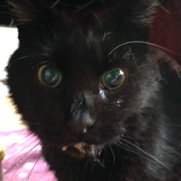 12b002a9 fb0c 4065 841e 3f0fe304f5b6 1643666852625