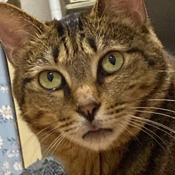 12b00e8b 3beb 42a2 bd2a a671394a309c 1616221739168