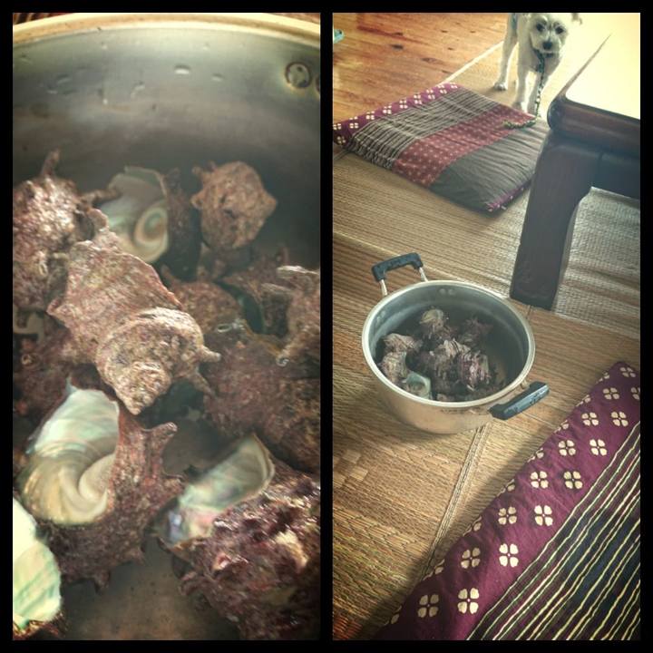 12b0160b 63ba 4d14 8045 8c1fd7b595f6 1534042293043