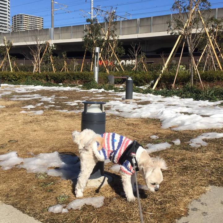 12b09d1e 551e 48b1 bcbb 55a1916d2505 1517311828927