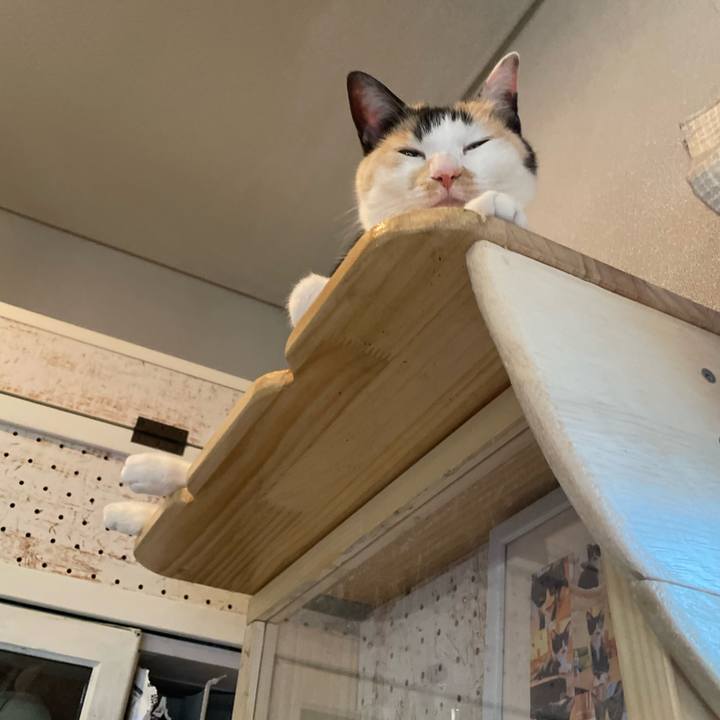 12b09fd4 a563 44c5 827c ee7b51979100 1708475085437