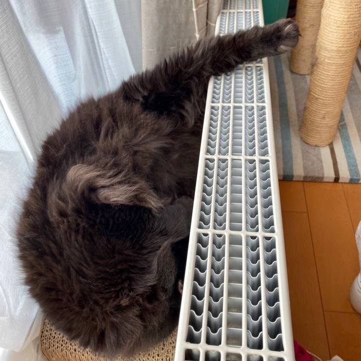 12b0ab11 5d3e 461a 9273 adb71bf4c9eb 1575469432821