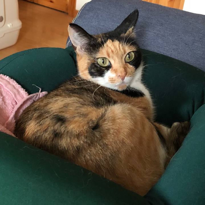 12b0de13 2e06 4b60 96f7 d8167ceb6d72 1533039762664