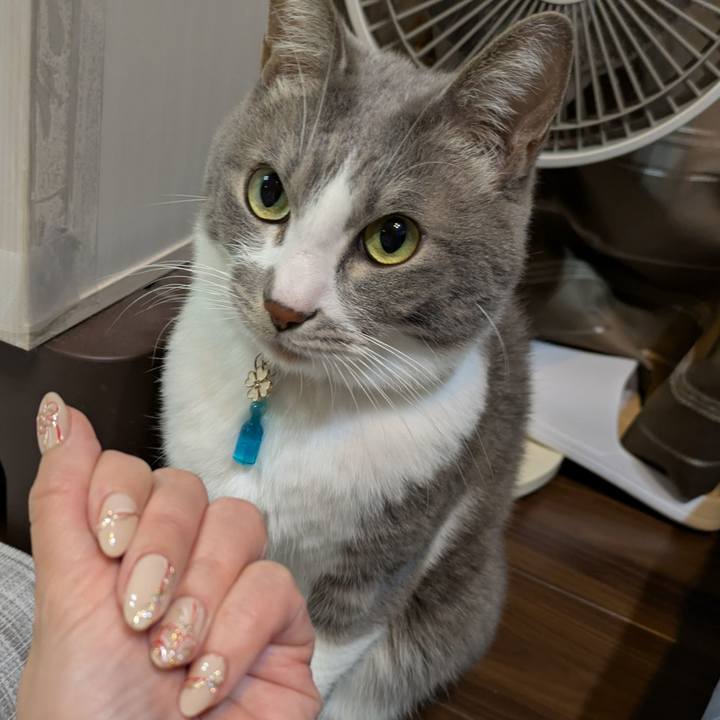 12b112a2 b24d 48ed 8ca2 d97bed5181d4 1735307185932