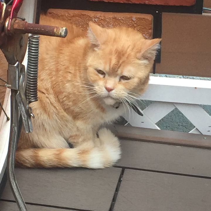 12b11674 3058 4738 9fe3 eb22dd2efe26 1552718233153