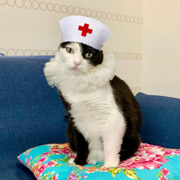 12b127d2 70c1 403b b487 d021d54feaf4 1615026339490