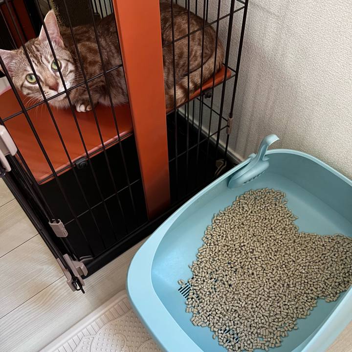 12b13765 96ea 497c b6f5 18428f98805d 1717803799421