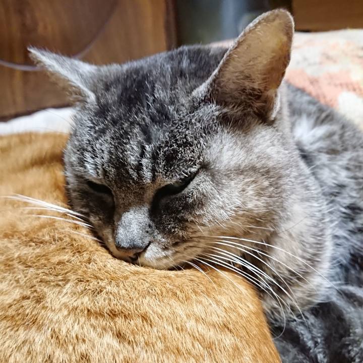 12b185a6 0bd0 414b 84f3 dac4aaabe181 1581422707782