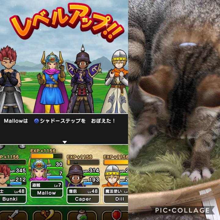 12b1a95d 3b3f 4dbb 90d1 443405815e9d 1589599252132