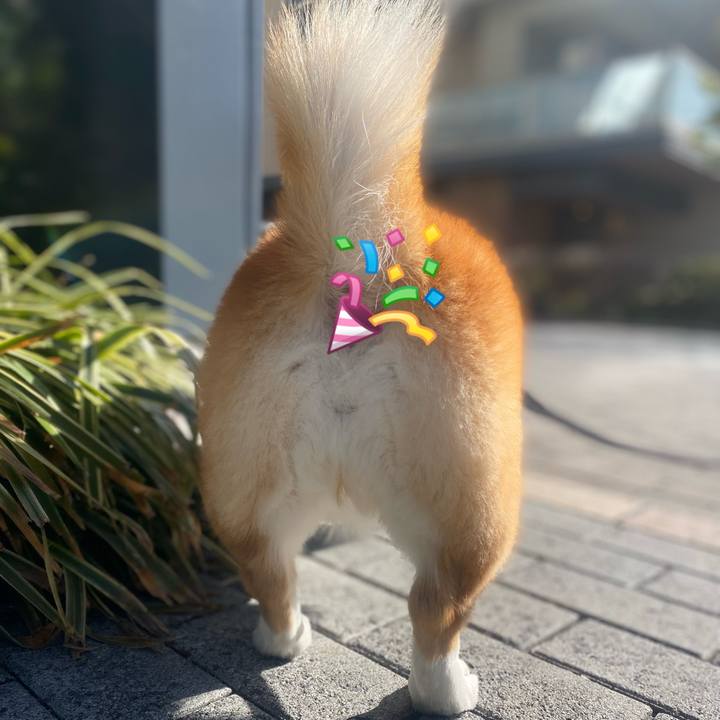 12b1c563 72fe 4eae a20b 9cd26f6664a5 1767876251859