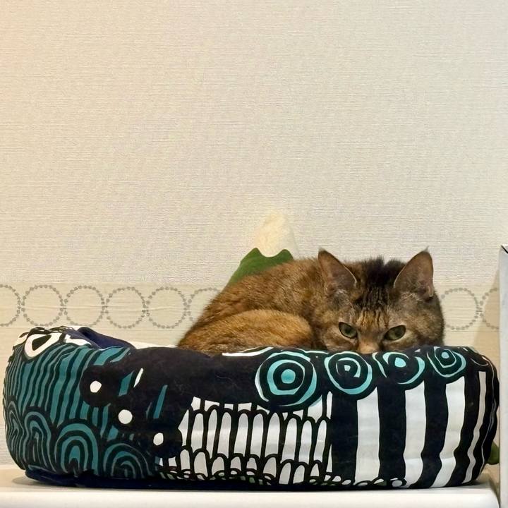 12b1cf5c ad32 4dcf b571 6280ec396d09 1733876790066