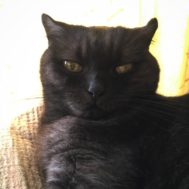 12b1deb5 596a 4ea3 b1e3 91b629c3136f 1533169451234