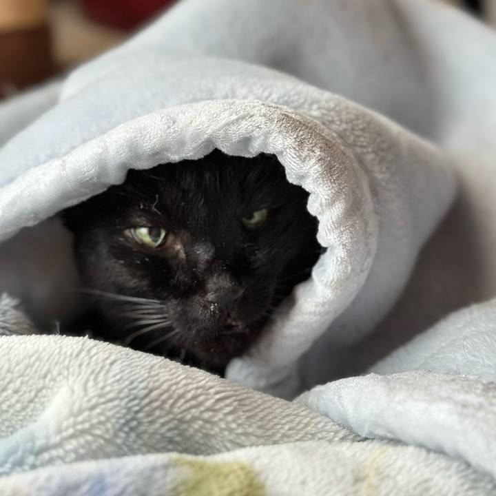 12b1e181 55fb 4fdb 9c89 f7b3c15704af 1716086509660