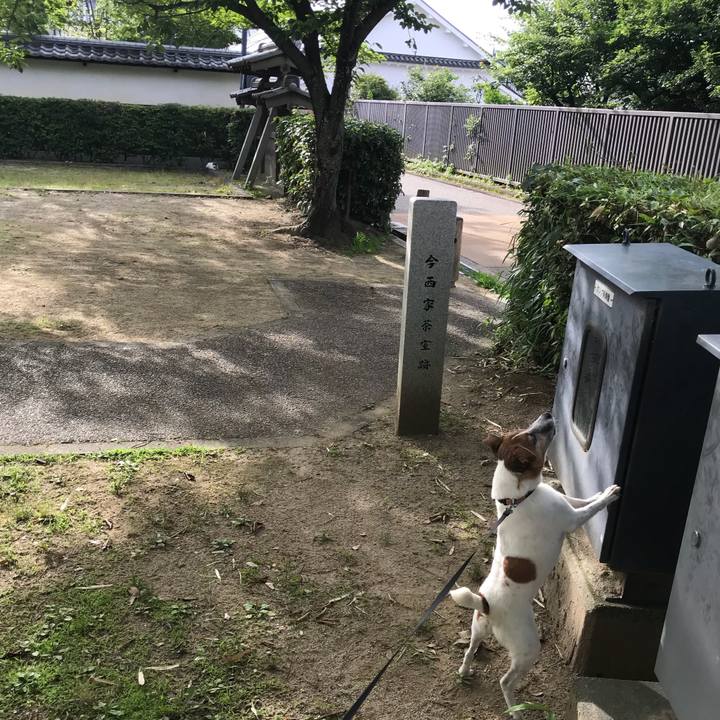 12b1e2f9 d03e 40b6 b799 28126d2142b1 1530321977269