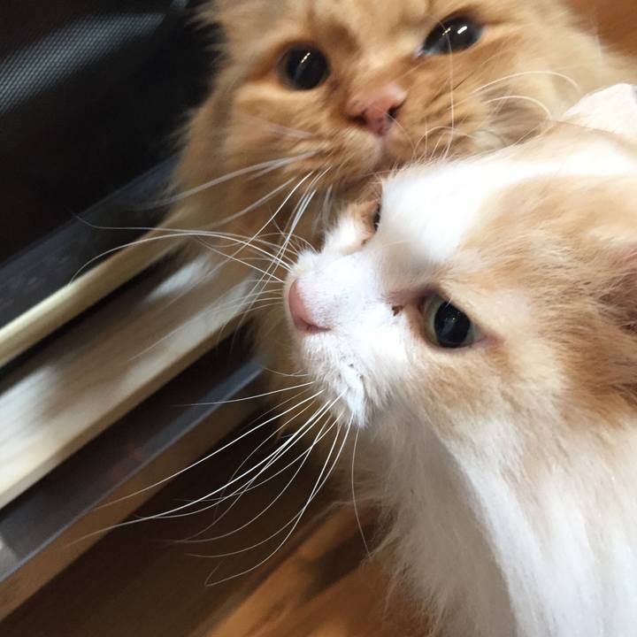 12b1ec06 e3aa 4c72 a587 88904784e653 1613507775481