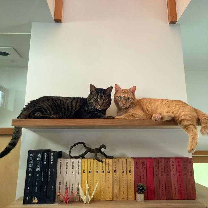 12b21465 e8b3 48a0 90ff 4b6922d1b132 1723448261963